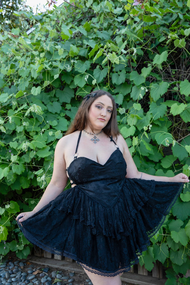 Black Beauty (2X)