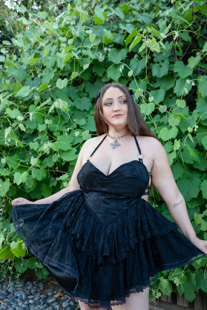 Black Beauty (2X)
