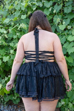 Black Beauty (2X)